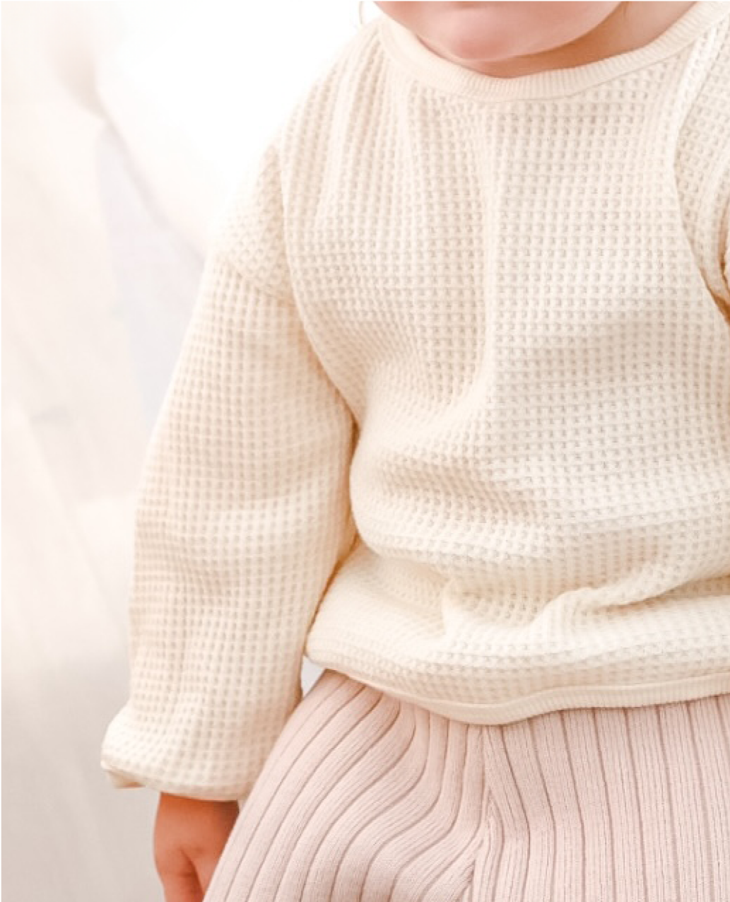 Forest Frolic Bundle